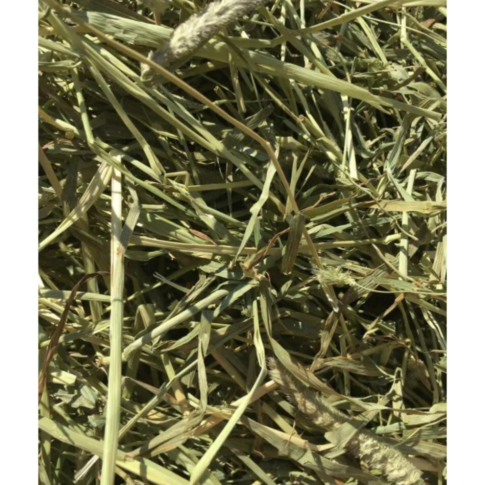 3x Bunny Nature Timothy Hooi 700 gr