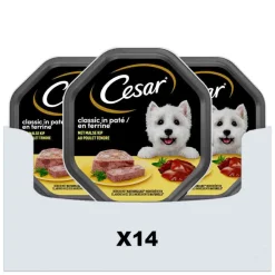 14x Cesar Alu Kip 150 gr