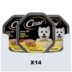 14x Cesar Senior in Gelei Kuipje Kip en Rijst 150 gr