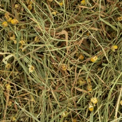 6x Deli Nature Rodelicious Kruidenhooi Madelief & Paardenbloem 600gr