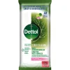 6x Dettol Reinigingsdoekjes Tru Clean Appleblossom 48 stuks
