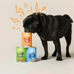 6x Edgard & Cooper Blik Vers Vlees Hondenvoer Kip - Kalkoen 400 gr