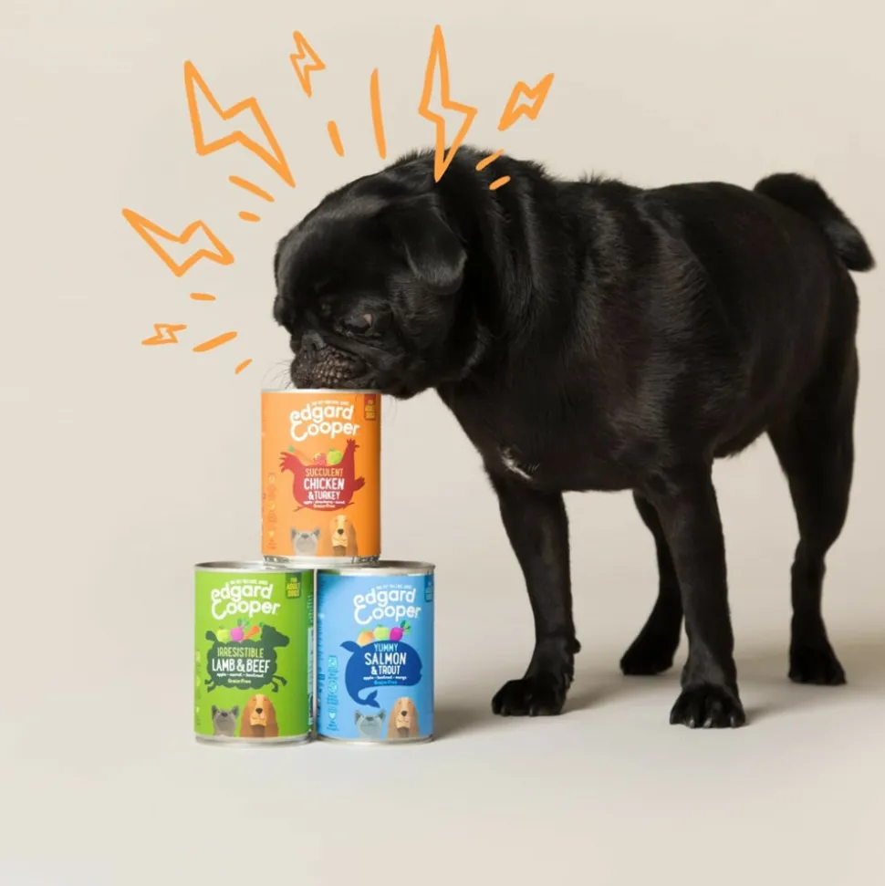 6x Edgard & Cooper Blik Vers Vlees Hondenvoer Kip - Kalkoen 400 gr