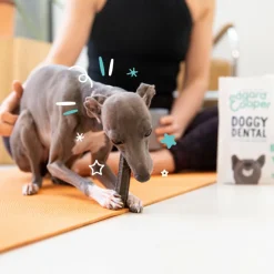 4x Edgard & Cooper Doggy Dental Sticks Small Aardbei - Frisse Muntolie