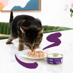 24x Edgard & Cooper Kattenvoer Fillets Tonijn - Garnaal 70 gr