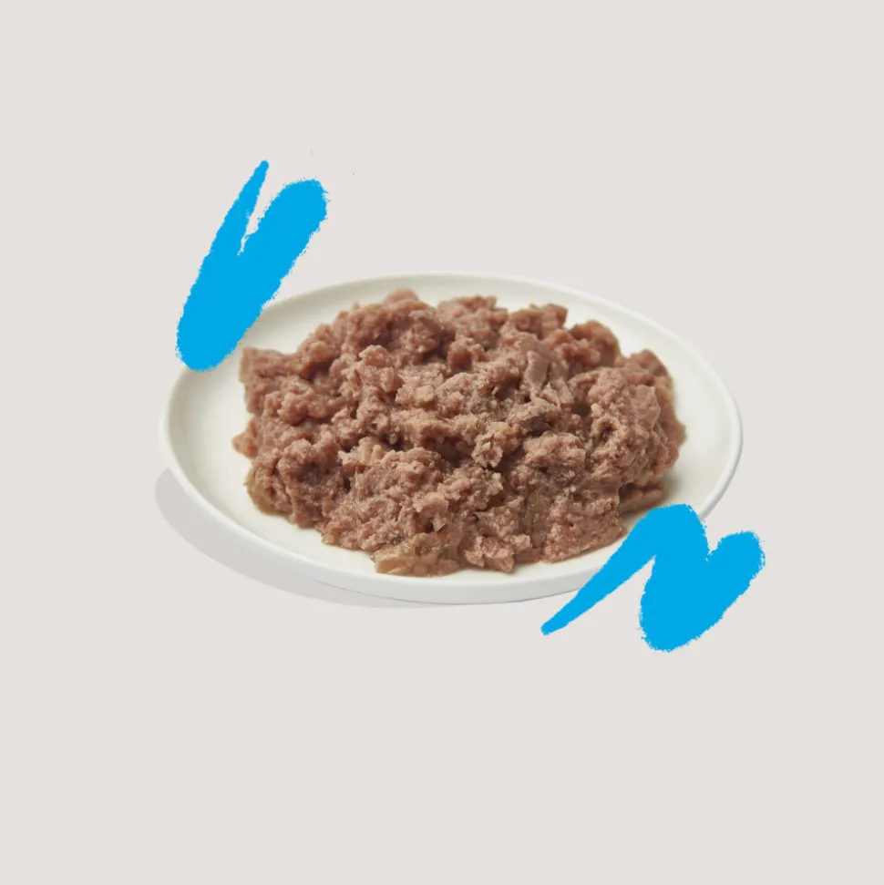 16x Edgard & Cooper Kattenvoer Adult Pate Zalm - Kip 85 gr