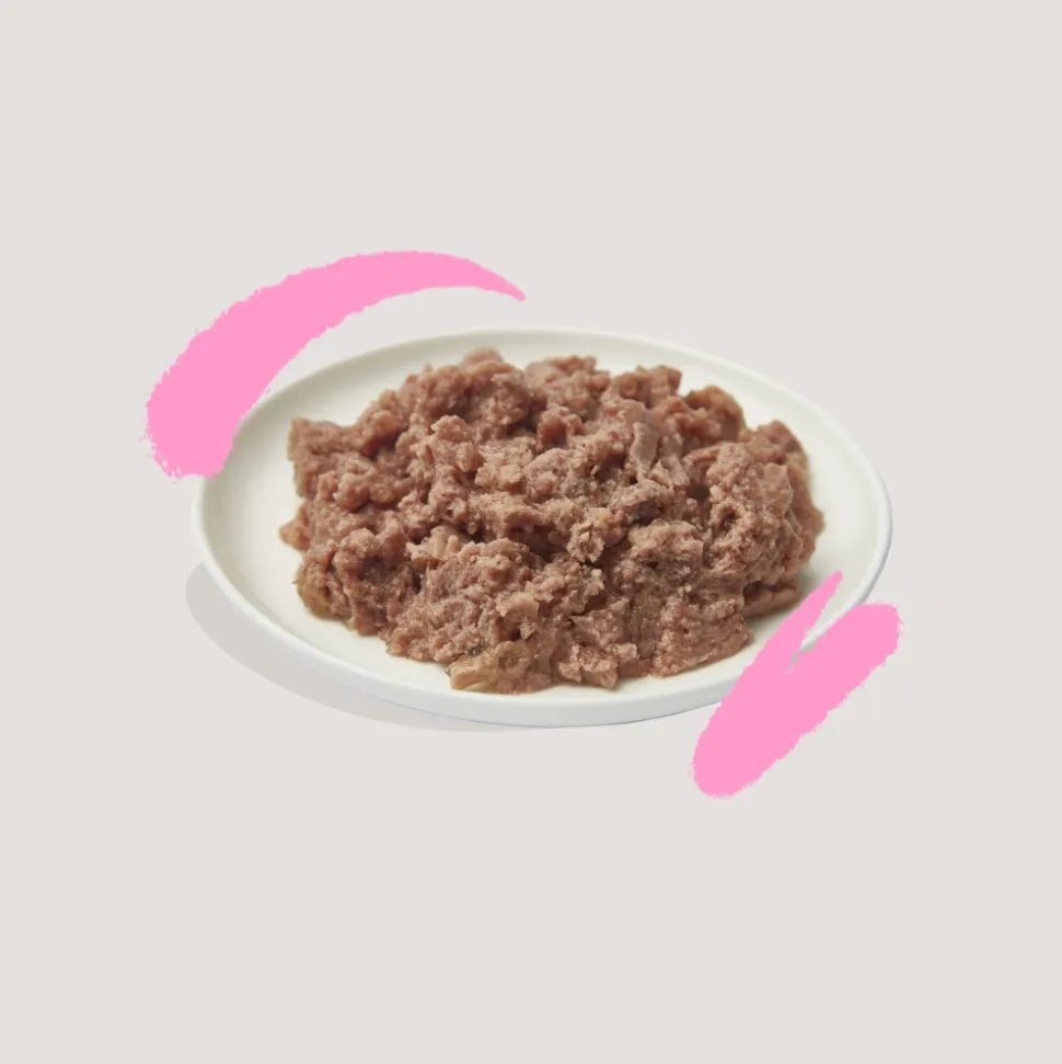 16x Edgard & Cooper Kattenvoer Kitten Pate Eend - Kip 85 gr