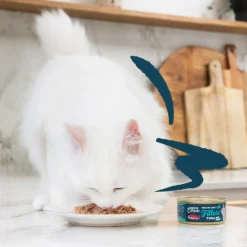 24x Edgard & Cooper Kattenvoer Fillets Tonijn - Inktvis 70 gr