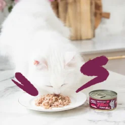 24x Edgard & Cooper Kattenvoer Fillets Tonijn - Kip 70 gr