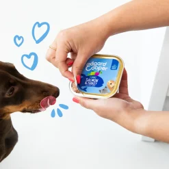 18x Edgard & Cooper Kuipje Vers Vlees Hondenvoer Zalm - Kalkoen 300 gr