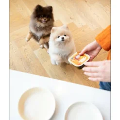 18x Edgard & Cooper Kuipje Vers Vlees Hondenvoer Kip - Kalkoen 300 gr