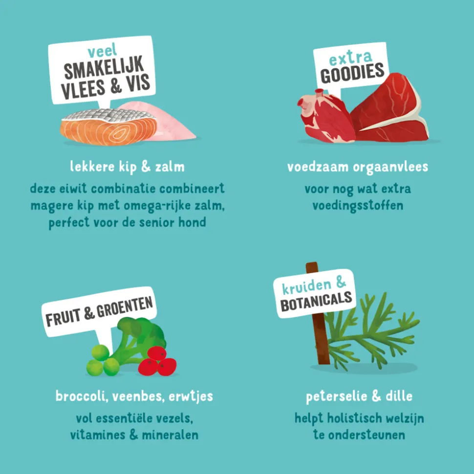 11x Edgard & Cooper Kuipje Vers Vlees Senior Hondenvoer Kip - Zalm 150 gr