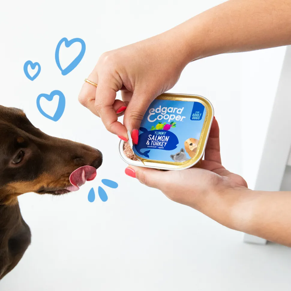 11x Edgard & Cooper Kuipje Vers Vlees Hondenvoer Zalm - Kalkoen 150 gr