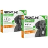 2x Frontline Combo Spot On Anti Vlooien en Teken Druppels Hond 2 - 10 kg 6 pipetten