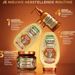 6x Garnier Loving Blends Honing Goud Haarmasker 340 ml