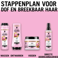 6x Gliss Shampoo Liquid Silk 250 ml