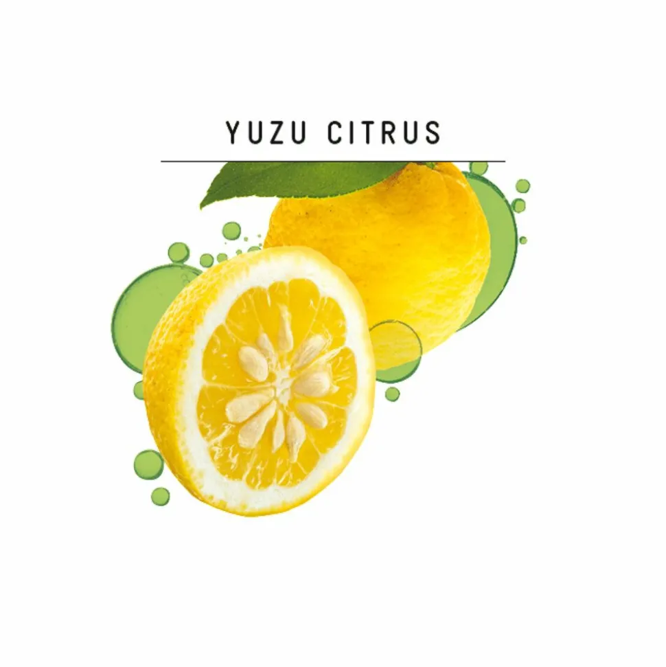 4x Guhl Shampoo Fris & Luchtig 250 ml