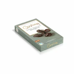 2x Guylian Chocolade Zeevruchten Dark Praline 112 gr