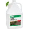 2x HG Groene Aanslag Reiniger Kant & Klaar 25m2 5 liter