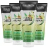 4x John Frieda Detox & Repair Shampoo 250 ml