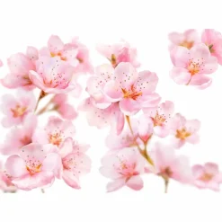 6x Kneipp Badschuim Soft Skin Amandelbloesem 400 ml