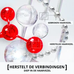 6x L'Oréal Elvive Bond Repair Shampoo 200 ml