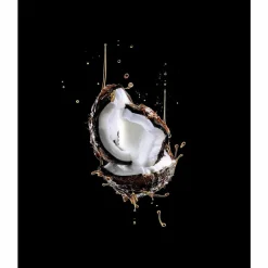 6x L'Oréal Elvive Extraordinary Oil Haarmasker Kokos 300 ml