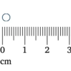 2x Lucovitaal Foliumzuur + Vitamine D3 120 tabletten