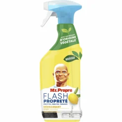 10x Mr. Propre Ontvetter Allesreiniger Spray Flash Properté Citroen 500 ml