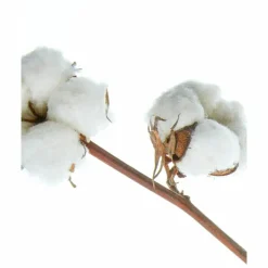 6x NIVEA Shampoo Classic Care 250 ml