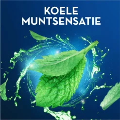 12x Oral-B Flosdraad Pro-Expert Advanced 50 meter