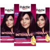 3x Palette Intensive Creme Haarkleuring 4-99 Aubergine