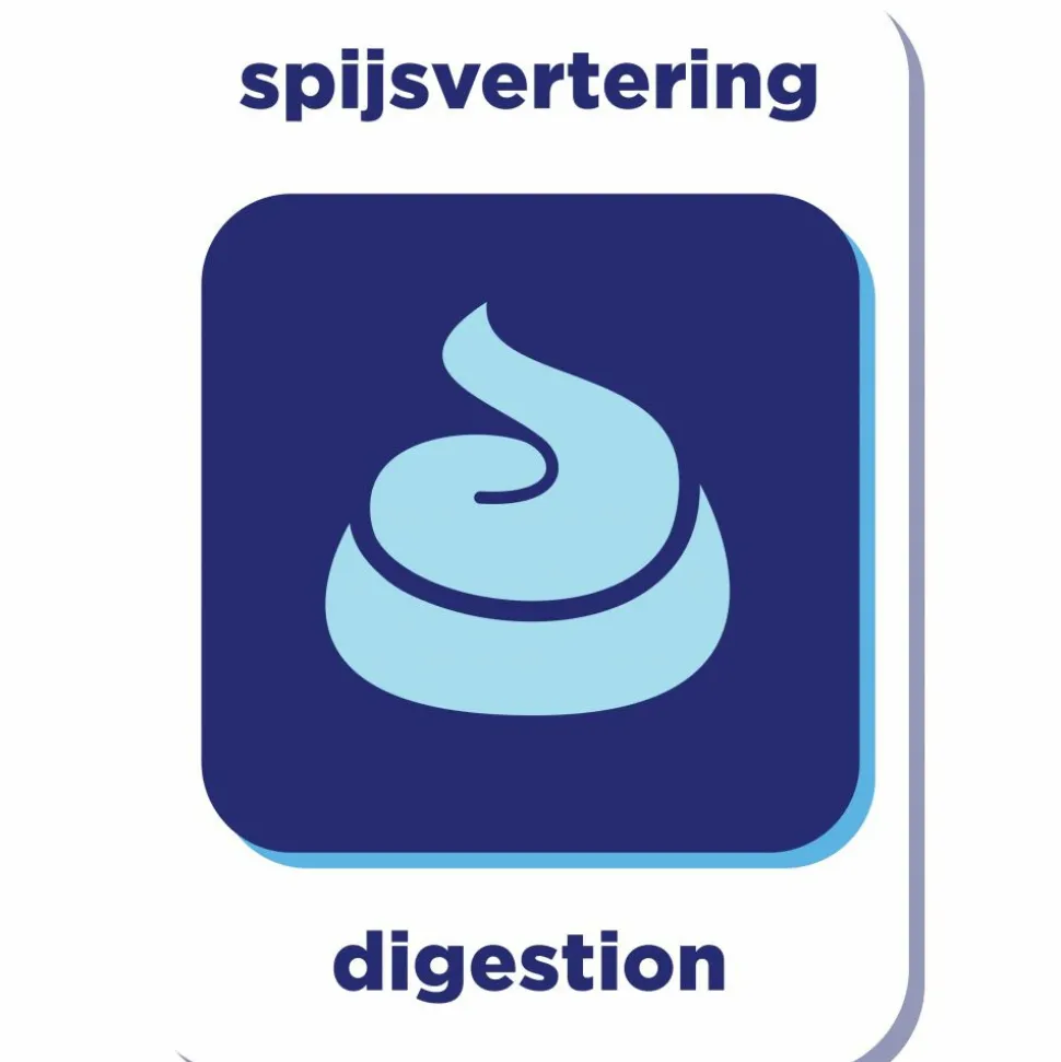 8x Renske Graanvrij Kattenvoer Verse Kip 400 gr