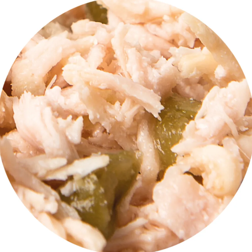 24x Renske Vezel Kattenvoer Nat Kip - Zalm 70 gr