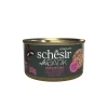 12x Schesir After Dark Bouillon Kip & Ham 80 gr