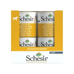 16x Schesir Hondenvoer Kip Pompoen in Gelei 285 gr