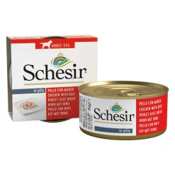 10x Schesir Hondenvoer Kipfilet en Rundvlees in Gelei 150 gr