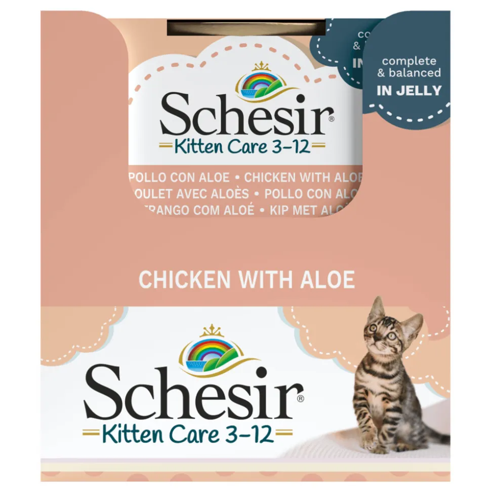 14x Schesir Kattenvoer Kitten 3-12 Kip - Aloe in Gelei 85 gr