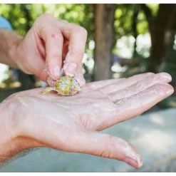 6x Seepje Superschillen wasmiddel Gewoon neutraal 30 Wasbeurten 150 gr