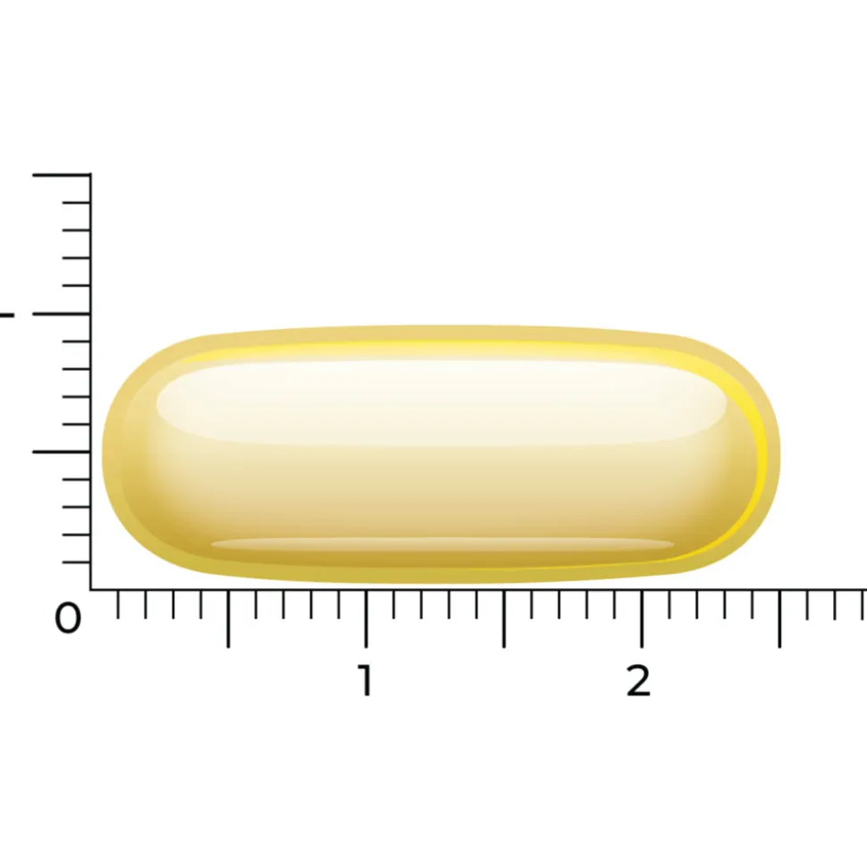2x Vitakruid Omega 3 1000 TG Vegan 60 softgels