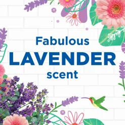 12x WC Eend Toiletreiniger Lavendel Fresh 750 ml