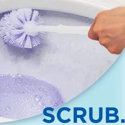 12x WC Eend Toiletreiniger Lavendel Fresh 750 ml