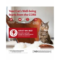 12x Wellness Core Kattenvoer 98% Recipe Rund 85 gr