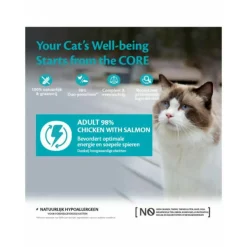 12x Wellness Core Kattenvoer 98% Recipe Kip - Zalm 85 gr