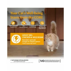 12x Wellness Core Kattenvoer 98% Recipe Kip - Zwijn 85 gr