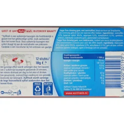24x Xylifresh Kauwgom Peppermint