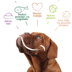 12x Yarrah Bio Hondenvoer Chunks Kip 405 gr