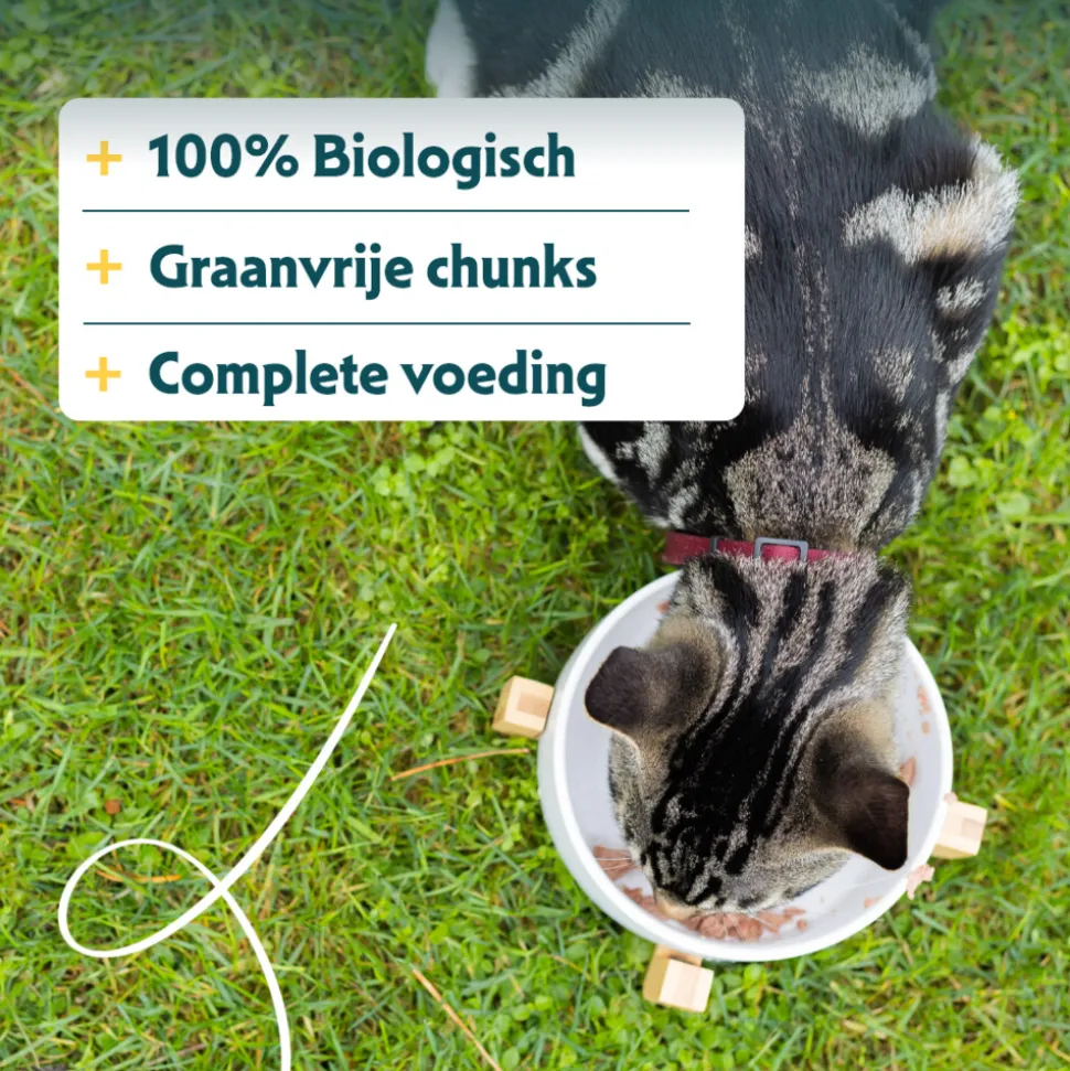 16x Yarrah Bio Kattenvoer Chunks Vis 100 gr