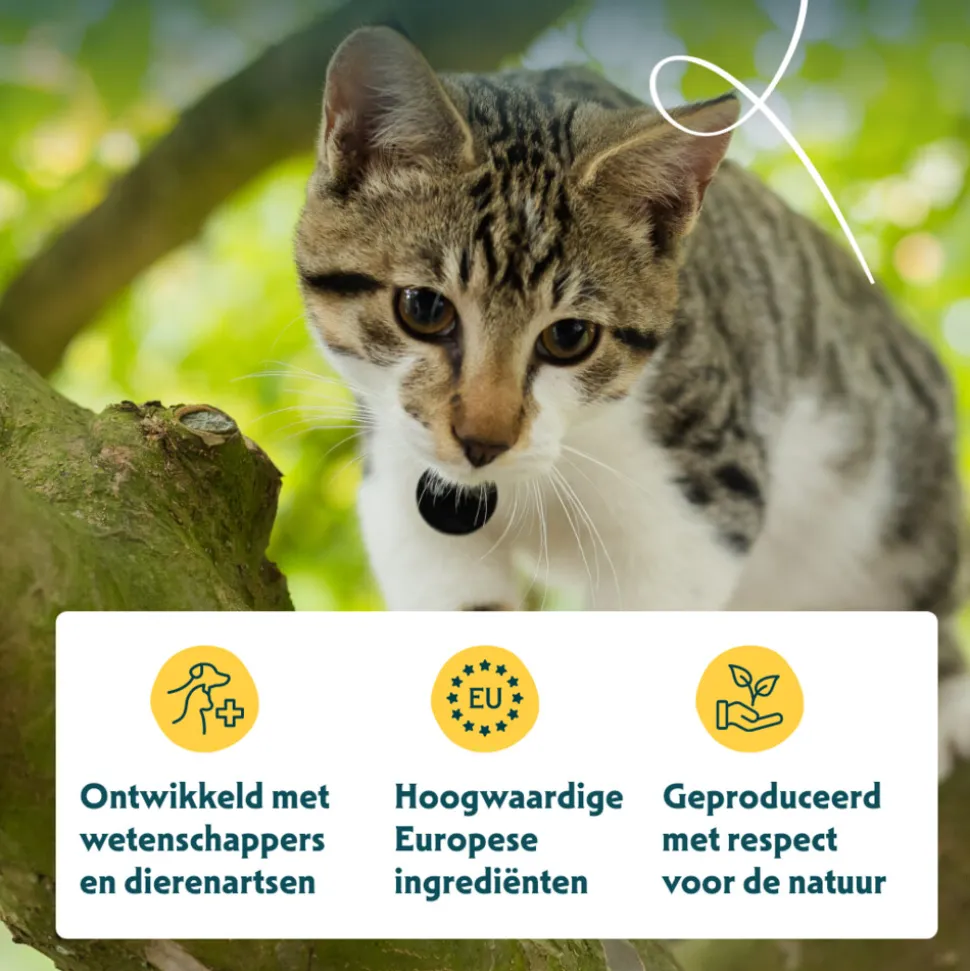 16x Yarrah Bio Kattenvoer Chunks Vis 100 gr