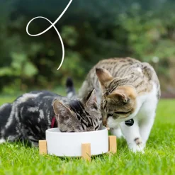 8x Yarrah Bio Kattenvoer Multipack Paté Graanvrij Kip & Kalkoen 8 x 100 gr